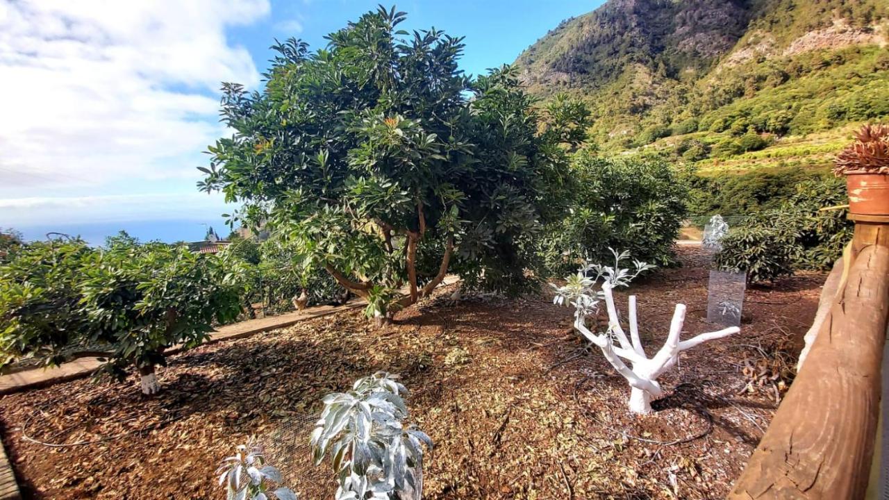 Casa Rural La Resbala - Casa Verde La Orotava Ngoại thất bức ảnh